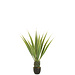 J-Line Agave Off-White Edge Pot Kunstgroen