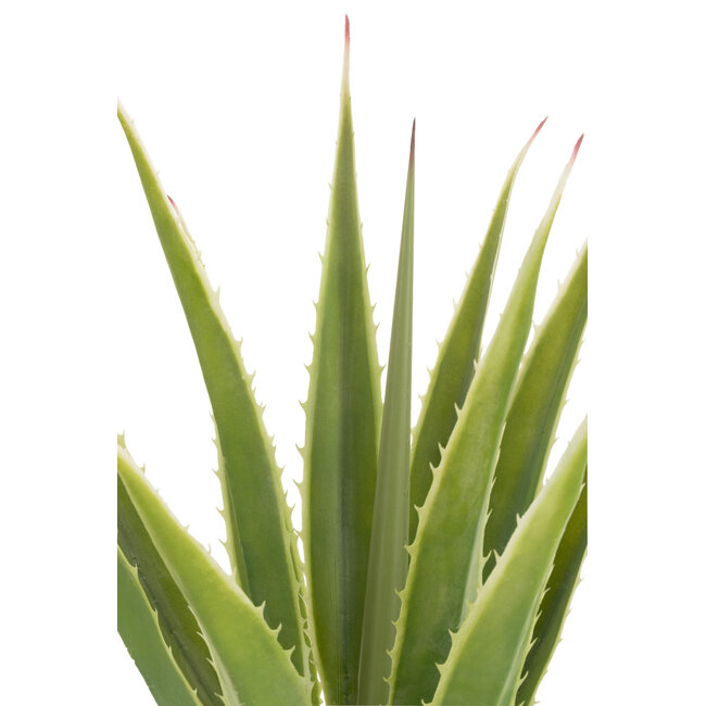 J-Line Agave Off-White Edge Pot Kunstgroen