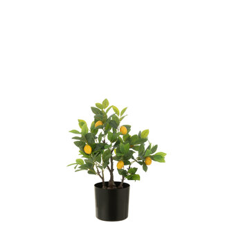 J-Line Citroenboom Pot Kunstmatig Groen Klein