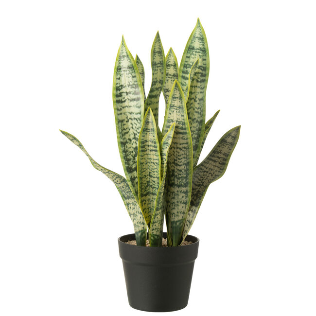 J-Line Dracaena Trifasciata In Kunstmatige Groene Pot Groot
