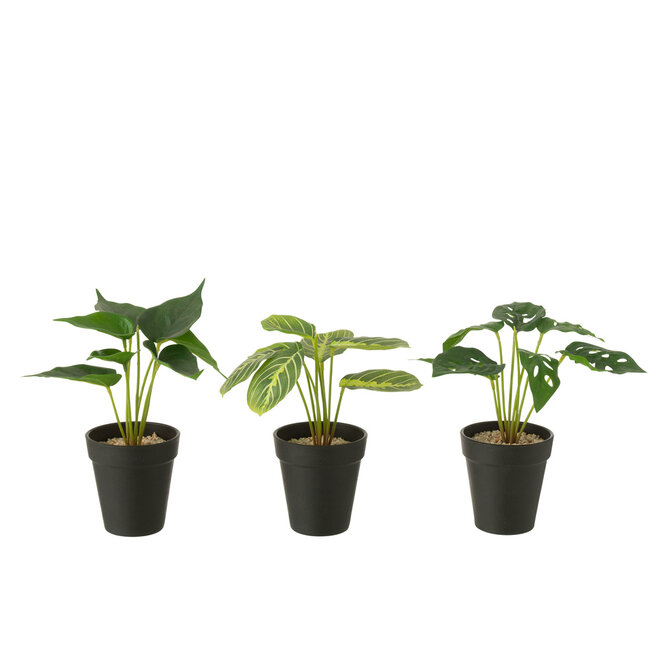 J-Line Planten in pot Kunstmatig Groen Assortiment van 3