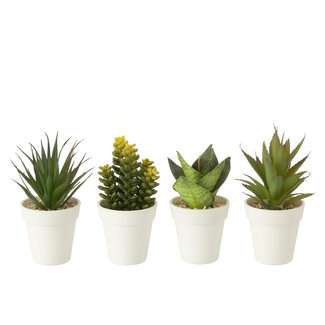 J-Line Planten in pot Kunstmatig Groen Assortiment van 4 J-Line Planten in pot Kunstmatig Groen Assortiment van 4
