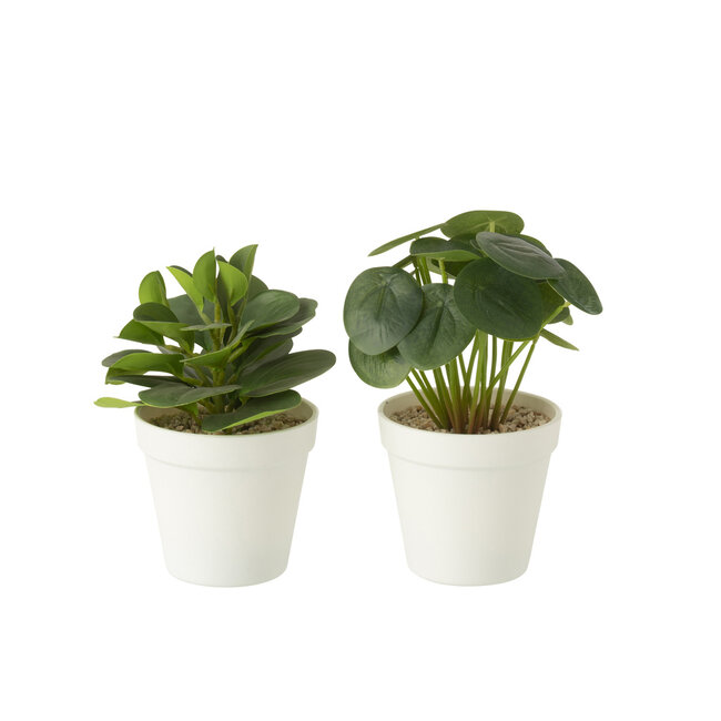 J-Line Planten in pot Kunstmatig Groen Assortiment van 2