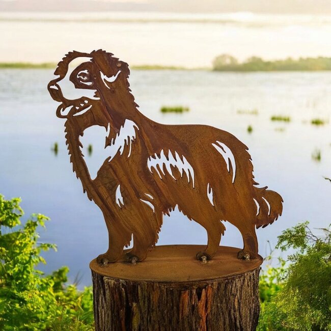 Dream-Garden Tuinbeeld metaal Australian Shepherd  staand 26 cm hoog