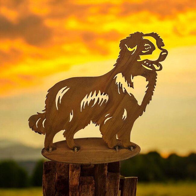 Dream-Garden Tuinbeeld metaal Australian Shepherd  staand 26 cm hoog