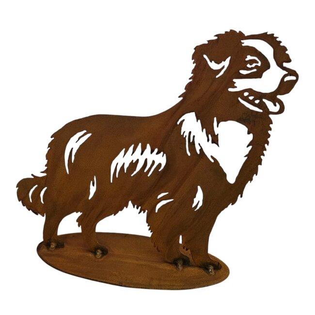 Dream-Garden Tuinbeeld metaal Australian Shepherd  staand 26 cm hoog