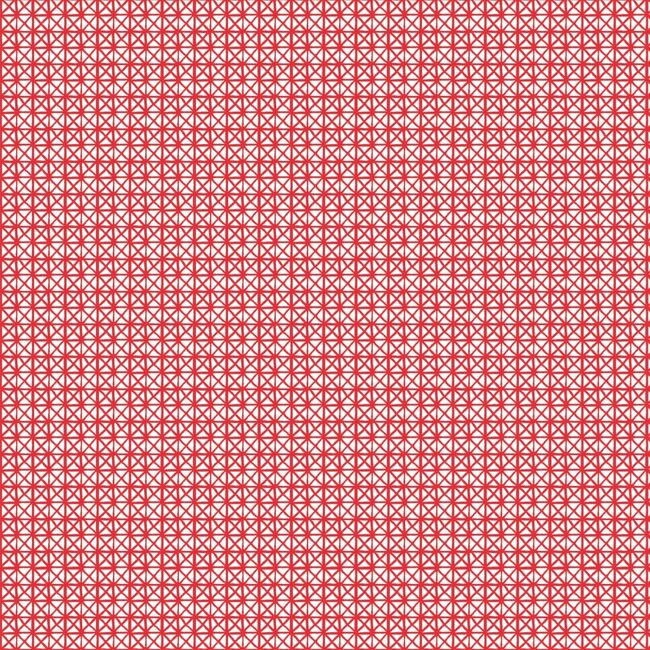 2Lif Andy Zelfklevende Folie Mini rol rood 45cmx2mtr