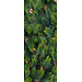 2Lif Banner Martin transparant 70 cm x 180 cm