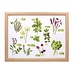 Lesser & Pavey Schootkussen laptray  diversen kruiden 43x33x6.5cm