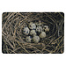 Mars & More deurmat eieren in nest 75x50cm