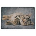 Mars & More deurmat grijs tabby liggend 75x50cm