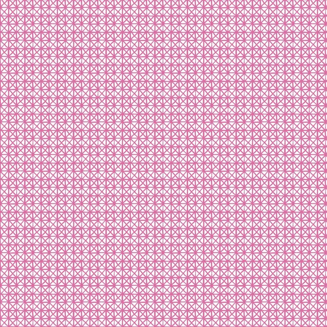 2Lif Andy Zelfklevende Folie Mini rol roze 45cmx2mtr