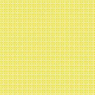 2Lif Andy Zelfklevende Folie Mini rol geel 45cmx2mtr