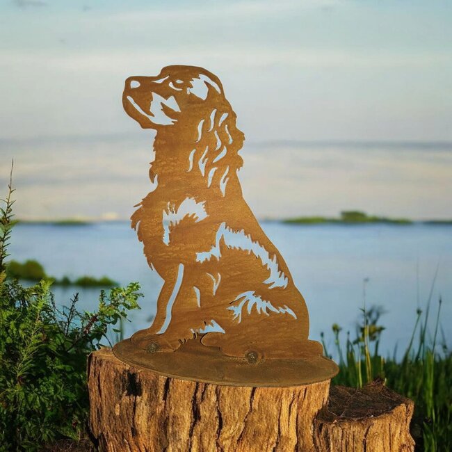 Dream-Garden Tuinbeeld  Chaggy de Cocker Spaniel  28 x18 cm