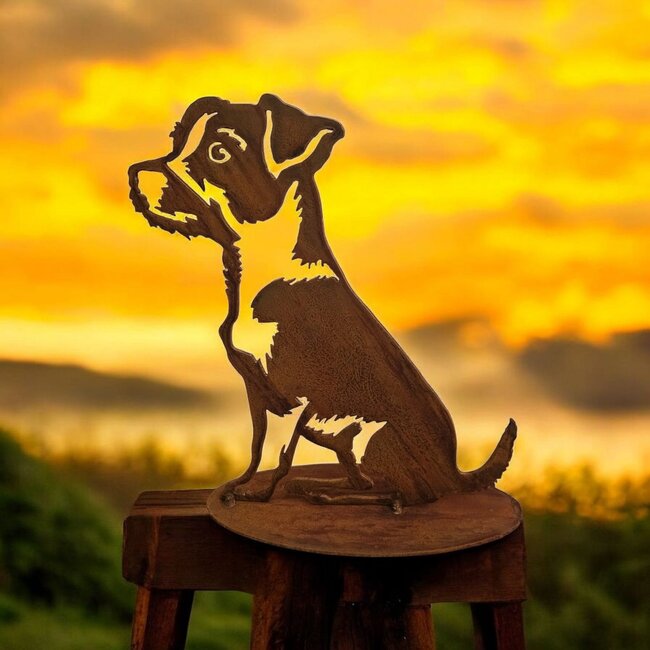 Dream-Garden Tuinbeeld Rex de ruwharige Jack Russel  -B22 x H28cm