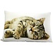 Mars & More canvas kussen tabby liggend 35x50cm