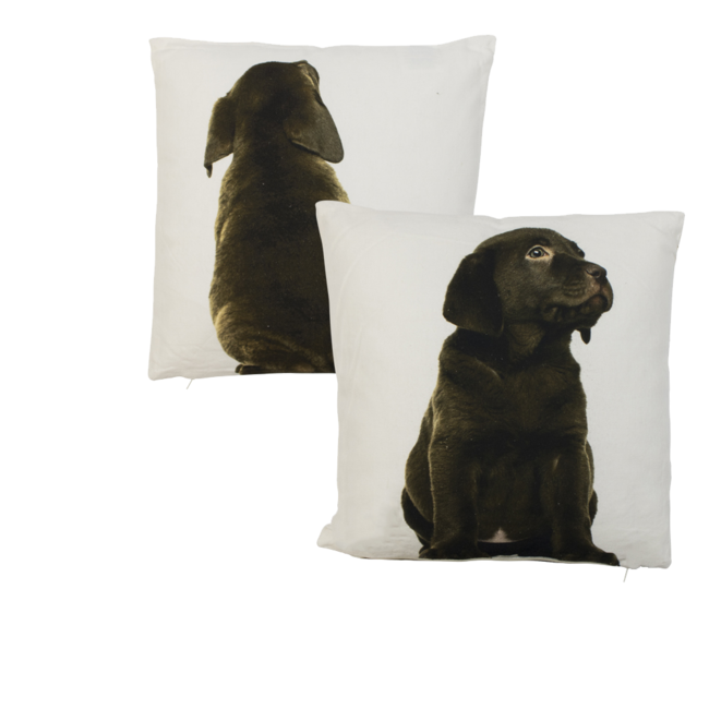 Mars & More canvas kussen labrador bruin dubbelzijdig 33x33cm