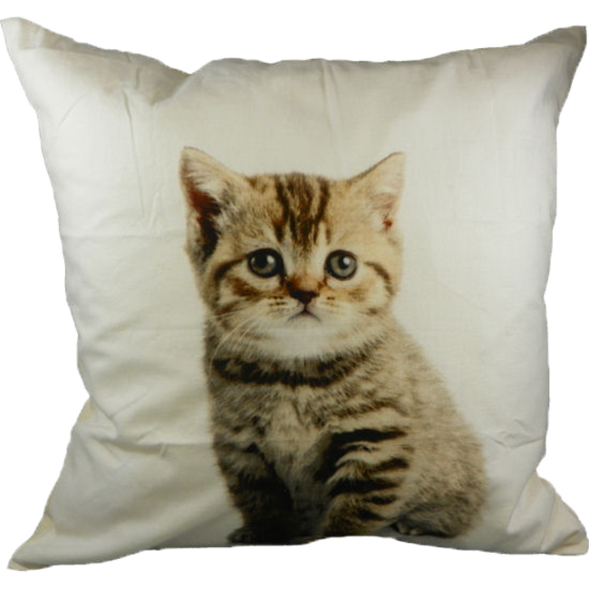 Mars & More canvas kussen kitten 50x50cm*