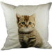Mars & More canvas kussen kitten 50x50cm*