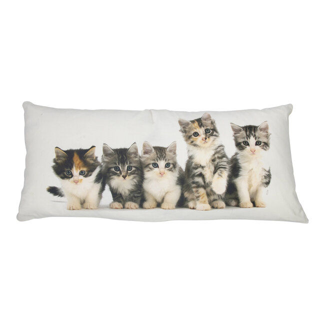 Mars & More canvas kussen xxl kittens 40x90cm*
