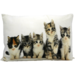 Mars & More canvas kussen kittens 35x50cm