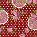 2Lif Dots&Flowers Statische raamfolie Mini rol transparant
