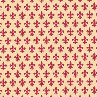 2Lif Lily Zelfklevende Folie Mini rol rood 45cmx2mtr