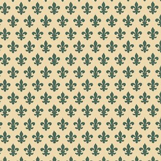 2Lif Lily Zelfklevende Folie Mini rol groen 45cmx2mtr