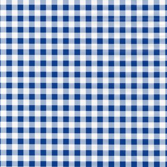 2Lif Check Zelfklevende Folie Mini rol blauw 45cmx2mtr