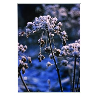 2Lif Snow Outdoor TextielPoster fotoprint 95x130cm