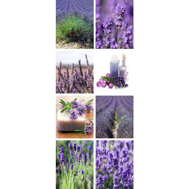 2Lif Banner Anika 75 cm x 180 cm