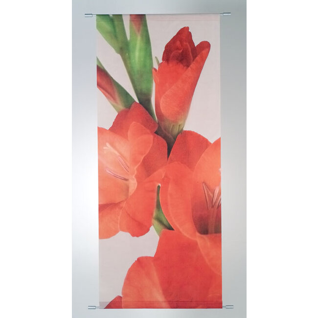 2Lif Banner Fabiola 75x180 cm