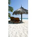 2Lif Banner Barbados Banner 75x180 cm