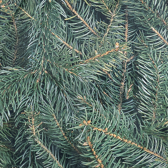 2Lif Banner Larvik 75 x 180 cm