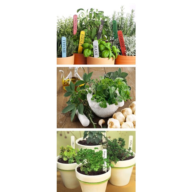 2Lif Banner Dille 75 cm x 180 cm