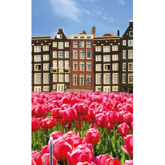 2Lif Dutch Spring statische folie 67,5cmx2mtr