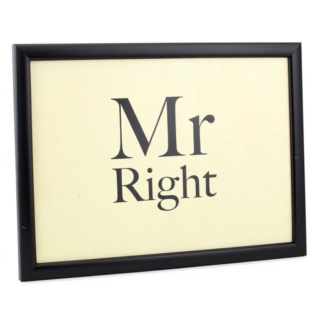Lesser & Pavey Schootkussen Laptray – Mr. Right – 44 x 34 x 6 cm