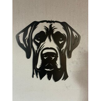 Siermetaal Rhodesian Ridgeback