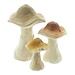 Dream-Living Set van 3 Natuurlijke Houten Paddenstoelen – Herfstdecoratie 14 cm, 10 cm & 7 cm