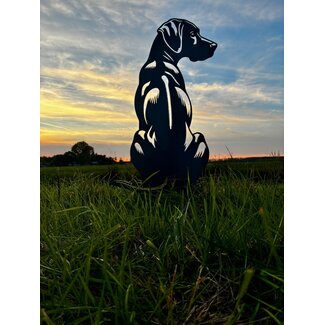 Siermetaal Rhodesian Ridgeback- Levensecht