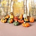 Dream-Living Terracotta decoratie pompoentjes 7-8 cm - 12 stuks