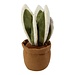 Mars & More deurstopper plant Sanseviera 23cm