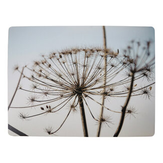Mars & More placemat natuur berenklauw 30x40cm (4)