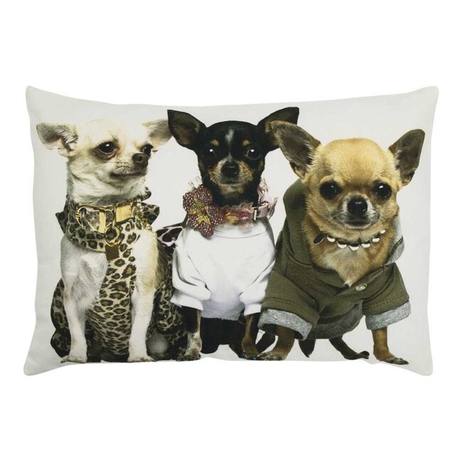 Mars & More canvas kussen chihuahuas 35x50cm