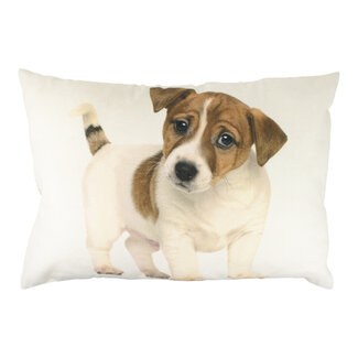 Mars & More canvas kussen pup jack russel 35x50cm