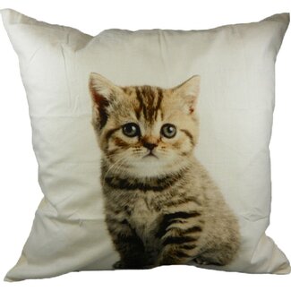Mars & More canvas kussen kitten 50x50cm*