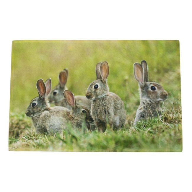 Mars & More Deurmat Konijnen familie 75x50cm