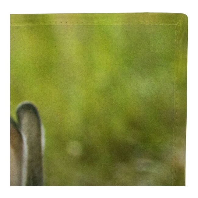 Mars & More Deurmat Konijnen familie 75x50cm