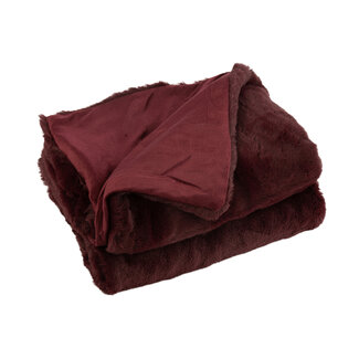 J-Line Plaid Cutie Polyester Donkerrood