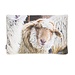 Mars & More Schapen buitenkussen beige 40x60cm